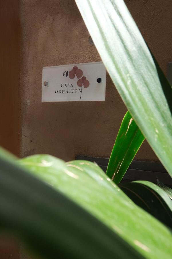 Casa Orchidea Leilighet Roma Eksteriør bilde